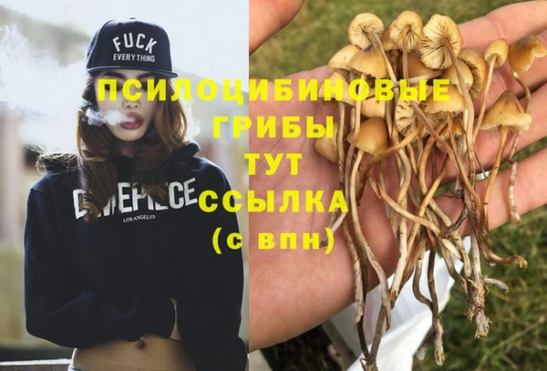 не бодяженный Касимов