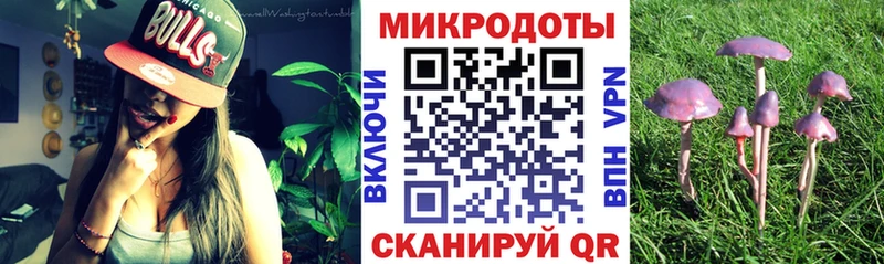 Купить  Вольск  Галлюциногенные грибы GOLDEN TEACHER 